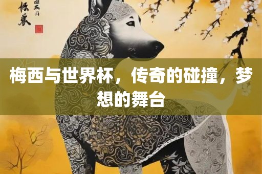 梅西与世界杯，传奇的碰撞，梦想的舞台