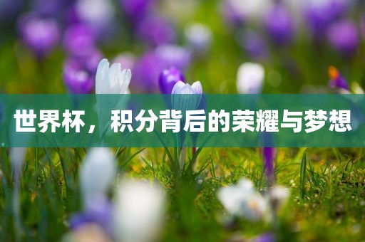 世界杯，积分背后的荣耀与梦想洪湖市顺升工程机械租赁有限公司