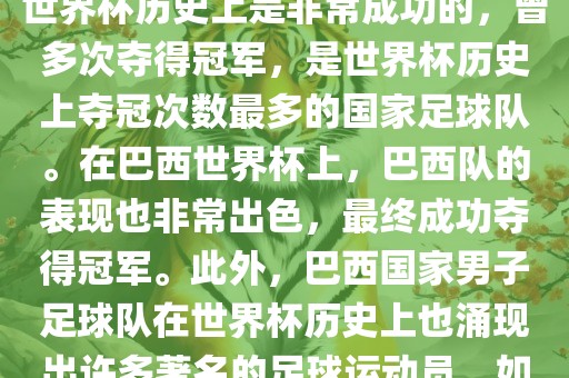 巴西世界杯的代表队伍是巴西国家男子足球队。这支队伍在世界杯历史上是非常成功的，曾多次夺得冠军，是世界杯历史上夺冠次数最多的国家足球队。在巴西世界杯上，巴西队的表现也非常出色，最终成功夺得冠军。此外，巴西国家男子足球队在世界杯历史上也涌现出许多著名的足球运动员洪湖市顺升工程机械租赁有限公司，如内马尔、罗纳尔迪尼奥、罗纳尔多等。