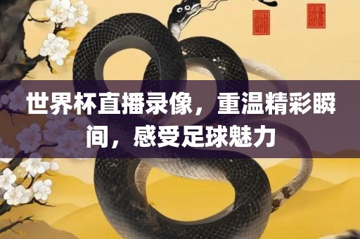 世界杯直播录像，重温精彩瞬间，感受足球魅力洪湖市顺升工程机械租赁有限公司