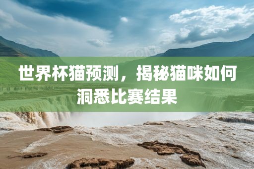 世界杯猫预测，揭秘猫咪如何洞悉比赛结果洪湖市顺升工程机械租赁有限公司