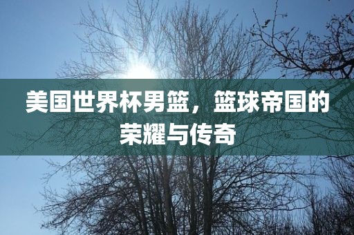 美国世界杯男篮，篮球帝国的荣耀与传奇洪湖市顺升工程机械租赁有限公司