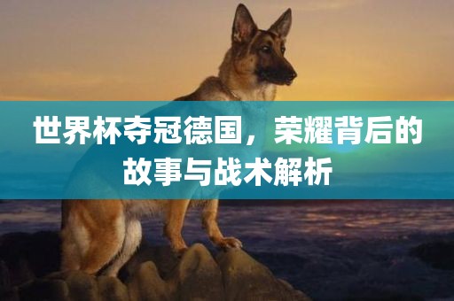 世界杯夺冠德国，荣耀背后的故事与战术解析