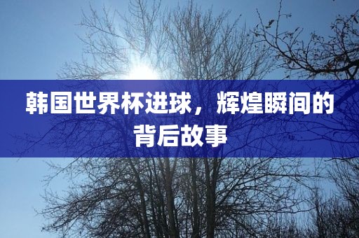 韩国世界杯进球，辉煌瞬间的背后故事