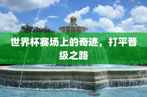 世界杯赛场上的奇迹，打平晋级之路洪湖市顺升工程机械租赁有限公司