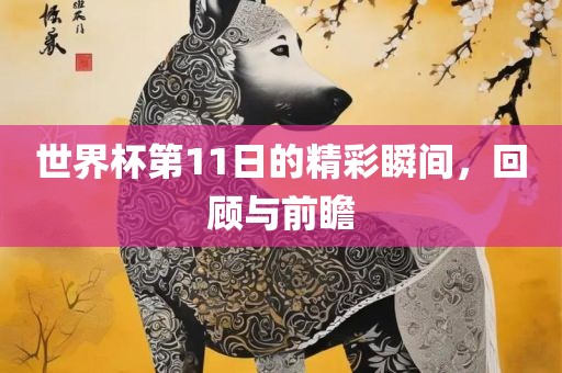 世界杯第11日的精彩瞬间，回顾与前瞻洪湖市顺升工程机械租赁有限公司