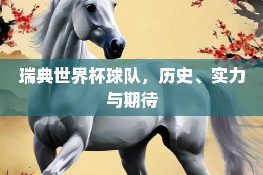 瑞典世界杯球队，历史、实力与期待