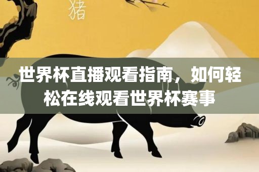 世界杯直播观看指南，如何轻松在线观看世界杯赛事洪湖市顺升工程机械租赁有限公司