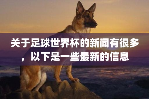 关于足球世界杯的新闻有很多，以下是一些最新的信息