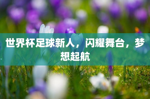 洪湖市顺升工程机械租赁有限公司世界杯足球新人，闪耀舞台，梦想起航