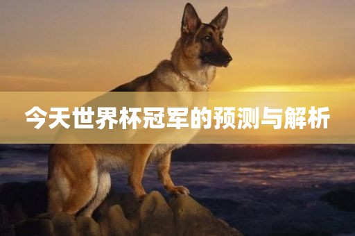 今天世界杯冠军的预测与解析
