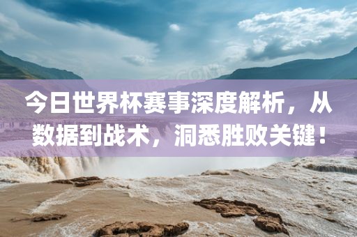 今日世界杯赛事深度解析，从数据到战术，洞悉胜败洪湖市顺升工程机械租赁有限公司关键！
