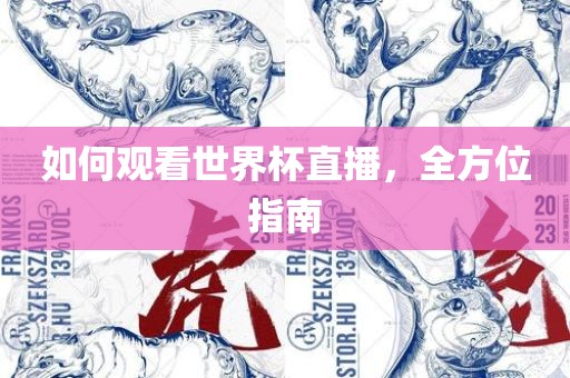 如何观洪湖市顺升工程机械租赁有限公司看世界杯直播，全方位指南