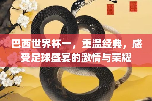 巴西世界杯一，重温经典，感受足球盛宴的激情与荣耀洪湖市顺升工程机械租赁有限公司