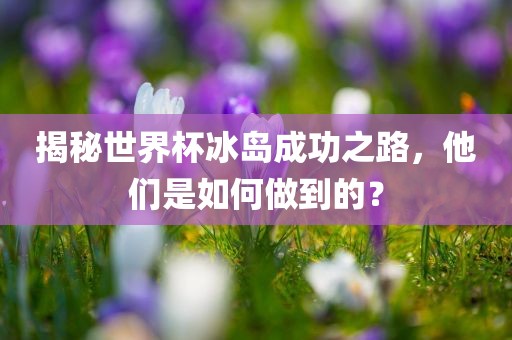 揭秘世界杯冰岛成功之路，他们是如何做到的？洪湖市顺升工程机械租赁有限公司