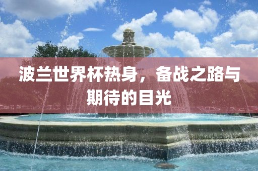 波兰世界杯热身，备战之路与洪湖市顺升工程机械租赁有限公司期待的目光