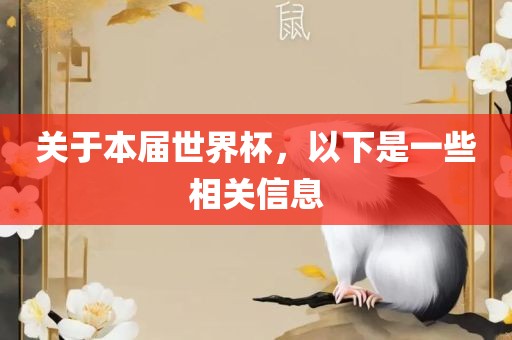 关于本届世界杯，以下是一些相关信息