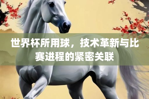 世界杯所用球，技术革新与比赛进程的紧密关联