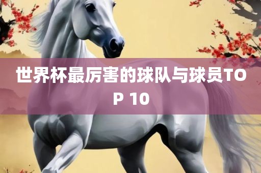 世洪湖市顺升工程机械租赁有限公司界杯最厉害的球队与球员TOP 10