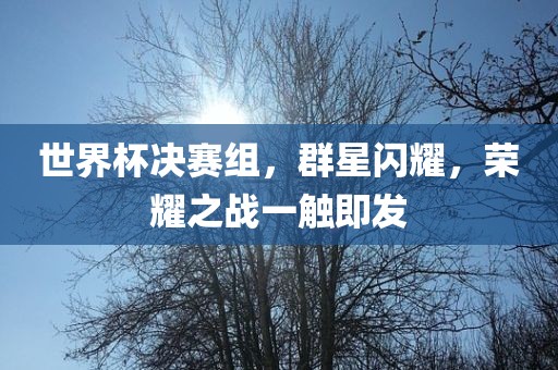 世界杯决赛组，群星闪耀洪湖市顺升工程机械租赁有限公司，荣耀之战一触即发
