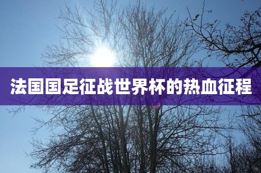 洪湖市顺升工程机械租赁有限公司法国国足征战世界杯的热血征程
