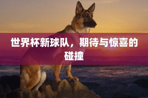 世界杯新球洪湖市顺升工程机械租赁有限公司队，期待与惊喜的碰撞