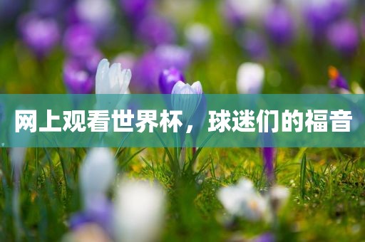 网上观看世界杯，球迷们的福音