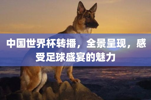 足球盛宴 第9页