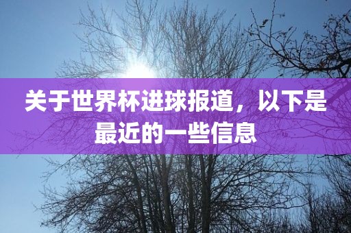 关于世界杯进球报道，以下洪湖市顺升工程机械租赁有限公司是最近的一些信息