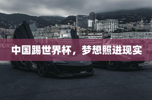 中国踢世界杯，梦想照进现实洪湖市顺升工程机械租赁有限公司