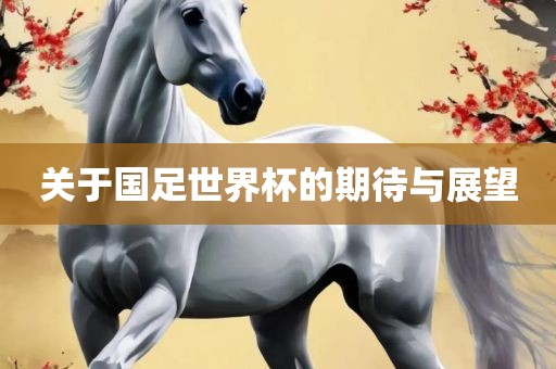 关于国足世界杯的期待与展望洪湖市顺升工程机械租赁有限公司