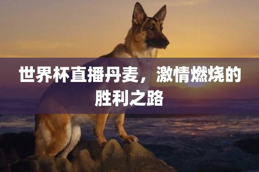 世界杯直播丹麦，激情燃烧的胜利之路