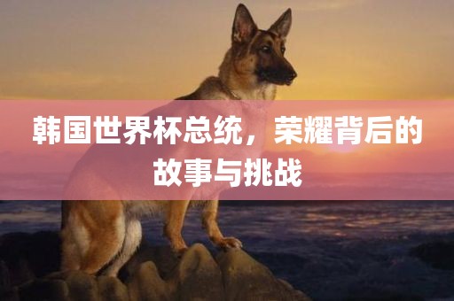 韩国世界杯总统，荣耀背后的故事与挑战