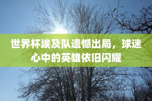 世界杯洪湖市顺升工程机械租赁有限公司埃及队遗憾出局，球迷心中的英雄依旧闪耀