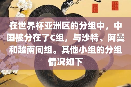 在世界杯亚洲区的分组中，中国被分在了C组，与沙特、阿曼和越南同组。其他小组的分组情况如下洪湖市顺升工程机械租赁有限公司