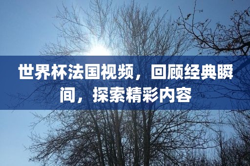 世界杯法国视频，回顾经典瞬间，探索精彩内容