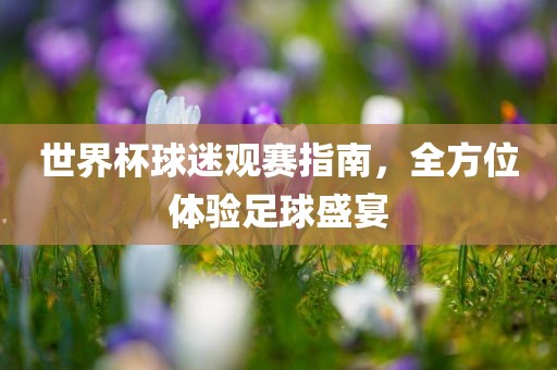 世界杯球迷观赛指南，全方位体验足球盛宴洪湖市顺升工程机械租赁有限公司