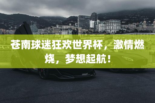 苍南球迷狂欢世界杯，激情燃烧，梦想起航！洪湖市顺升工程机械租赁有限公司