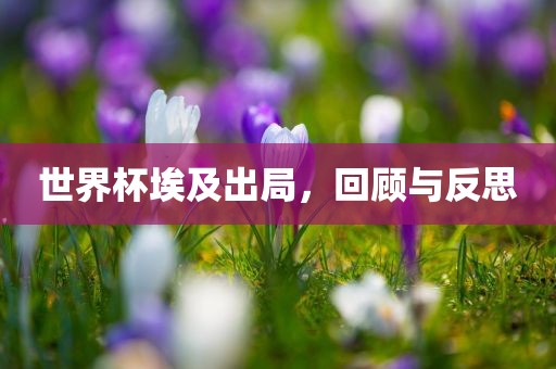 世界杯埃及出局，回顾与反思洪湖市顺升工程机械租赁有限公司