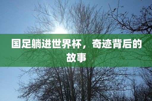 国足躺进世界杯，奇迹背后的故事