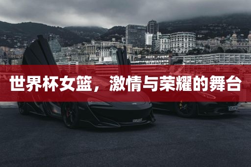 世界杯女篮，激情与荣耀洪湖市顺升工程机械租赁有限公司的舞台