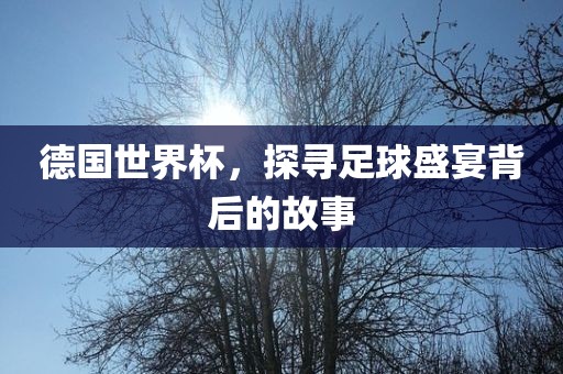 德国世界杯，探寻足球盛宴背后的故事