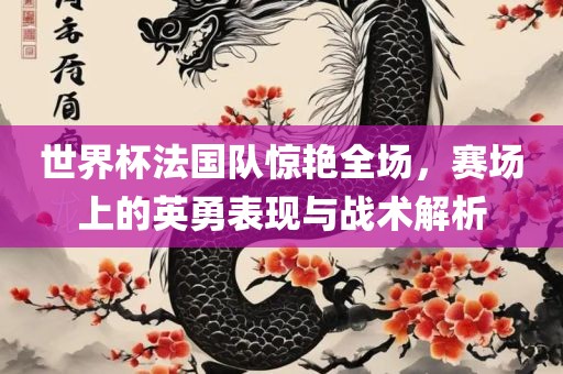 世界杯法国队惊艳全场洪湖市顺升工程机械租赁有限公司，赛场上的英勇表现与战术解析
