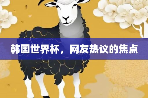 韩国世界杯，网友热议的焦点