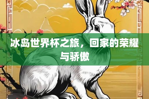 冰岛世界杯之旅，回家的荣耀与骄傲