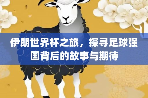 伊朗世界杯之旅，探寻足球强国背后的故事与期待洪湖市顺升工程机械租赁有限公司