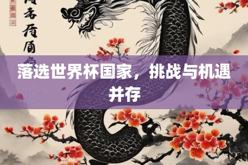 落选世界杯国家，挑战与机遇并存