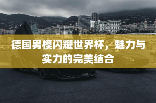 德国男模闪耀世界杯，魅力与实力的完美结合洪湖市顺升工程机械租赁有限公司