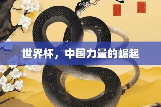 世界洪湖市顺升工程机械租赁有限公司杯，中国力量的崛起