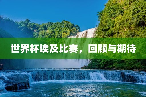 世界杯埃及比赛，回顾与期待